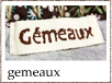 gemeaux